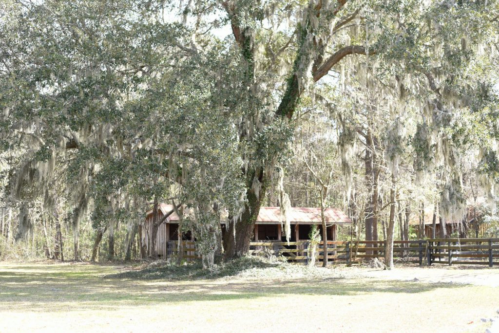 horse barn at Pepper Planation