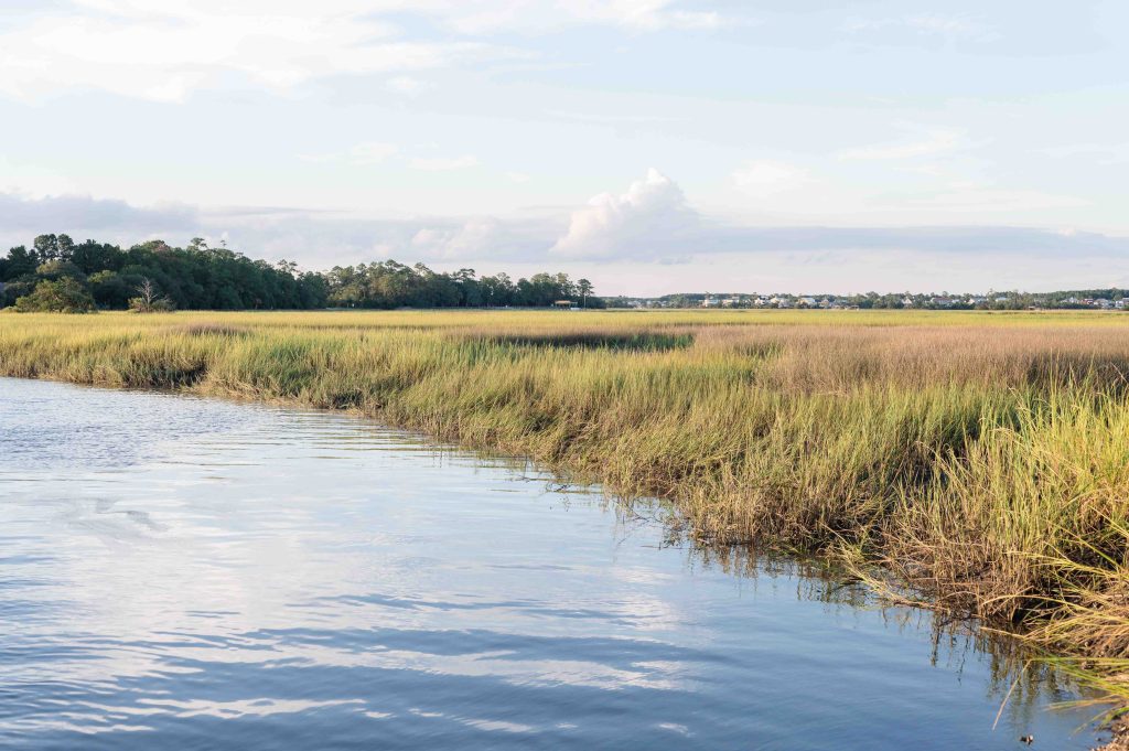 marsh view at sunset from Cotton Dock