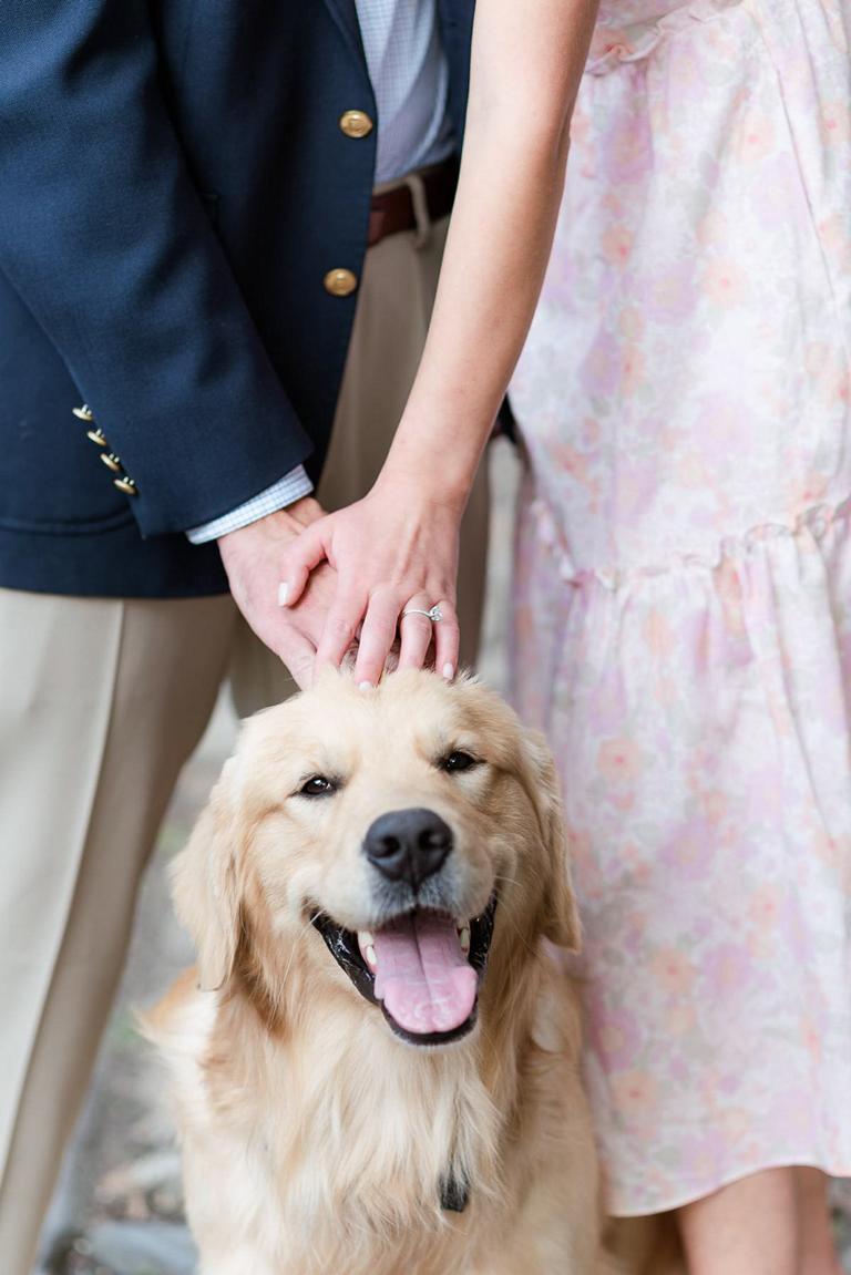 close up of engaged couple's hands petting dog