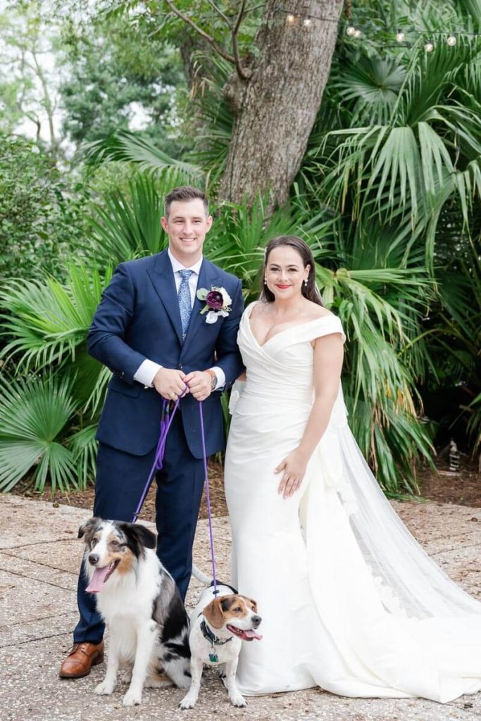 newlyweds hold leashes of their dogs on wedding day