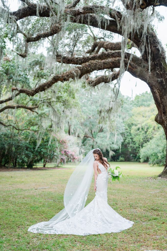 bride looking down at dress in front of large oak tree
