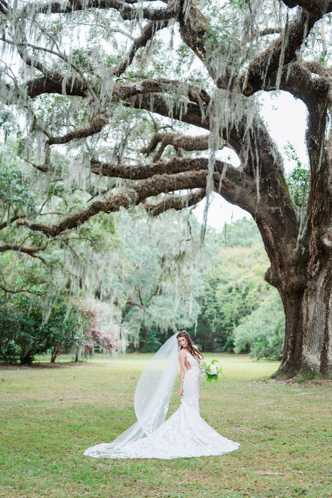 bride standing under large live oak tree with Spanish moss