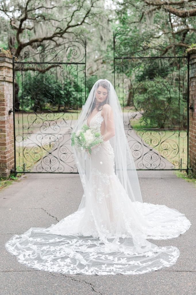 bride with full length veil over her looking down her shoulder