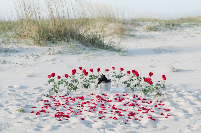 single red roses sticking out of sand, blanket of red rose petals and bucket with champagne set the scene for a beach proposal