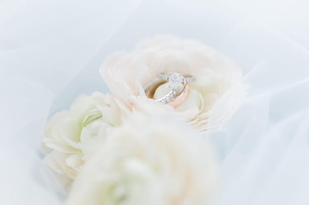 closeup of wedding rings
