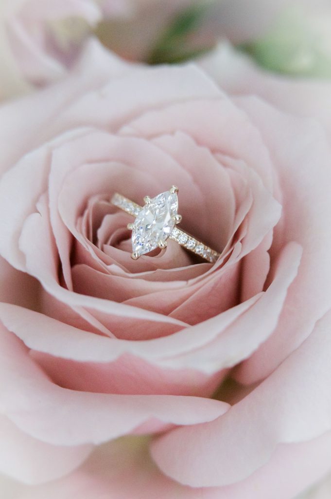 engagement ring nestled in pink rose