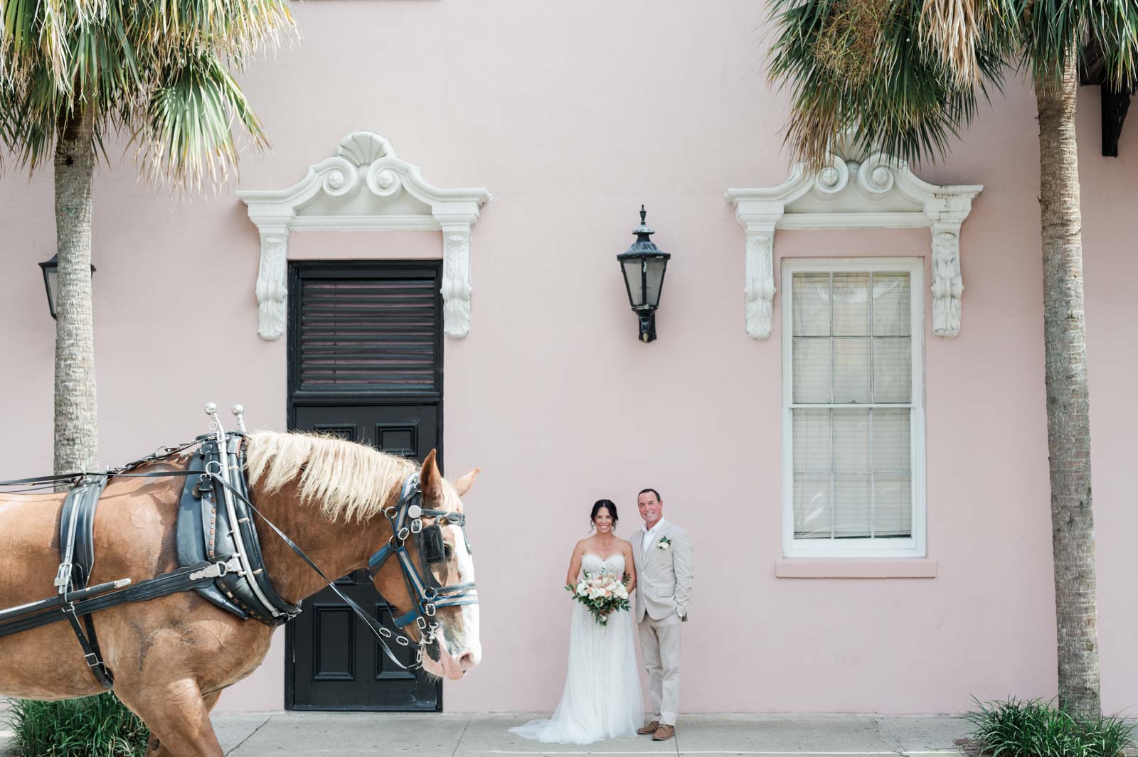 newlyweds stand in front of pink wall while horse walks through picture